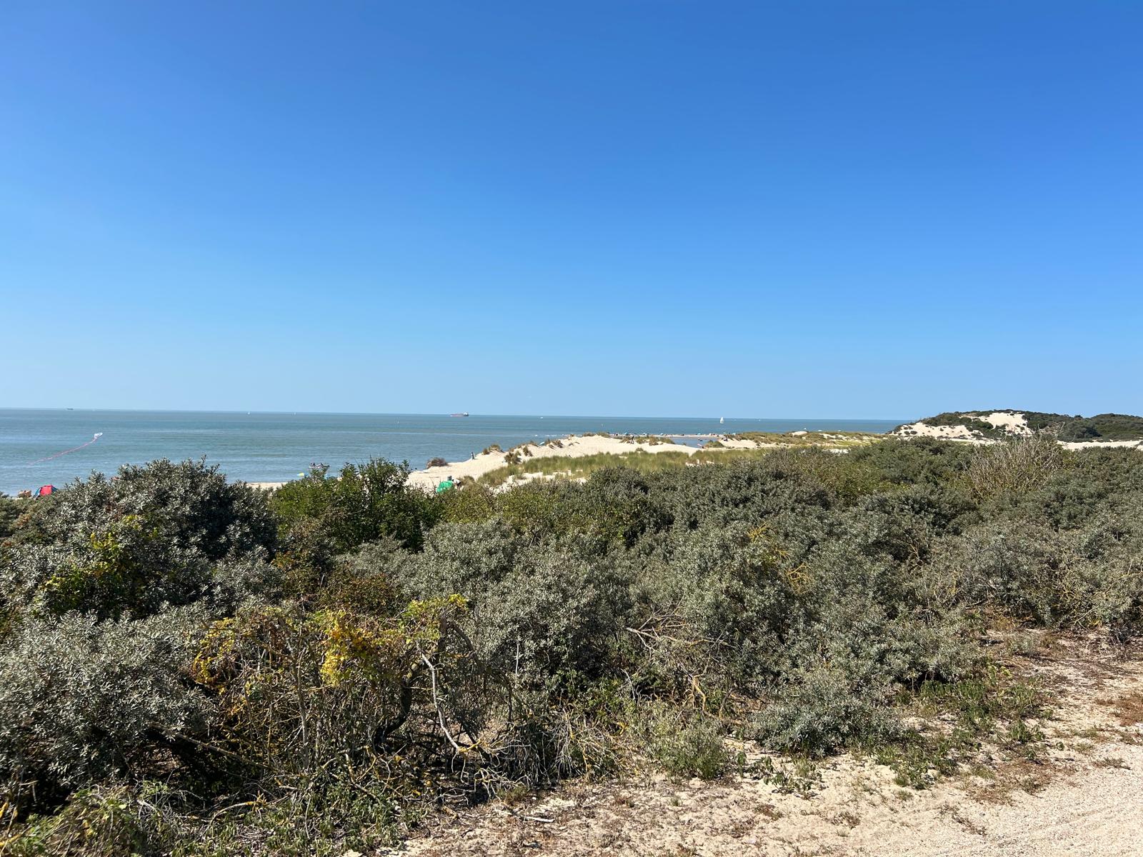 Dünen und Meer in Cadzand