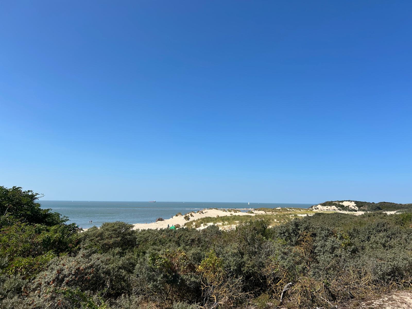 Dünenlandschaft am Meer