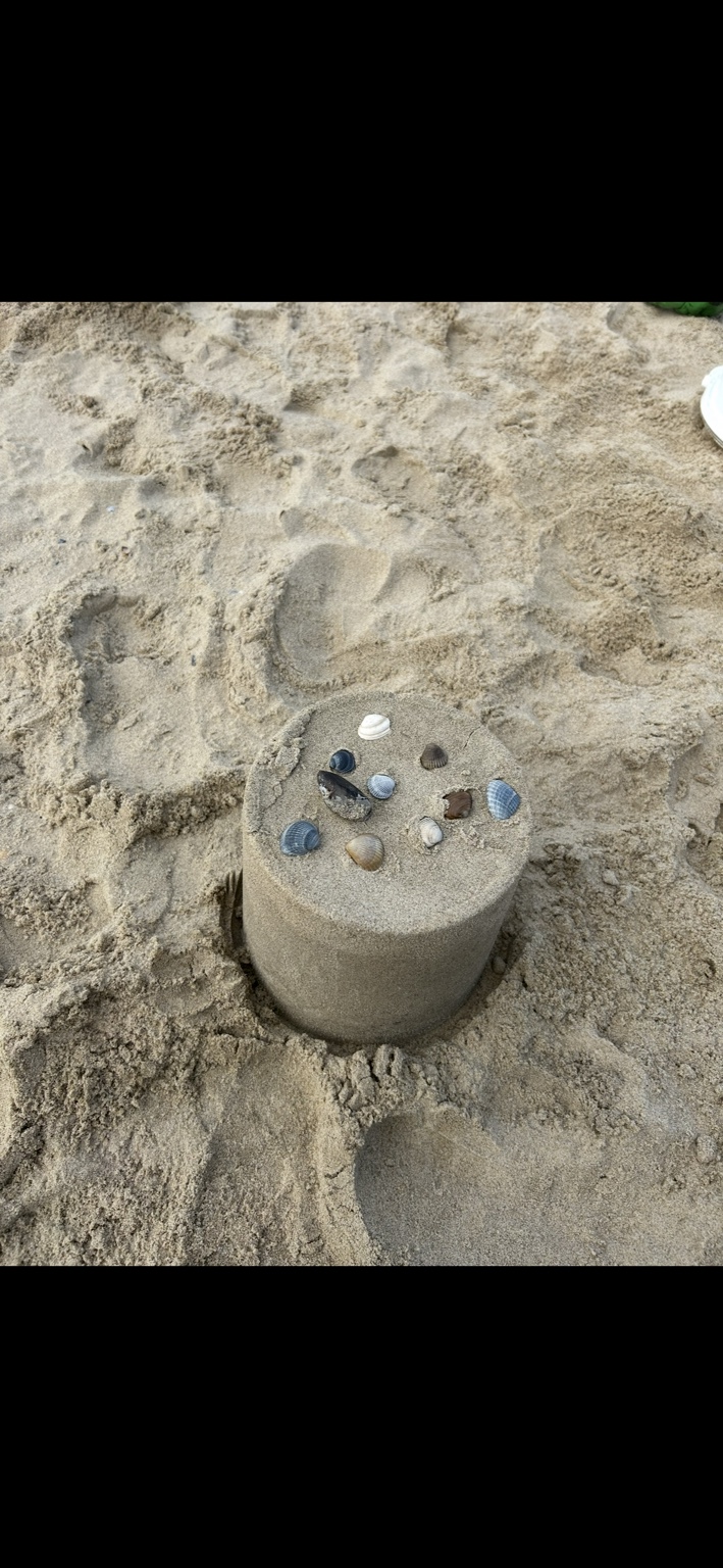 Muscheln im Sand